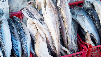 Image showing fish market