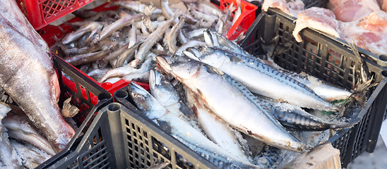 Image showing fish market