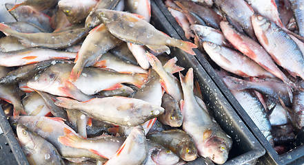 Image showing fish market