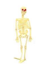 Image showing human skelet toy 