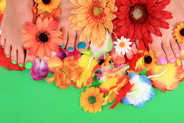 Image showing women feets and flowers (pedicure tbackground)