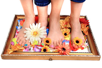 Image showing women feets and flowers (pedicure tbackground)