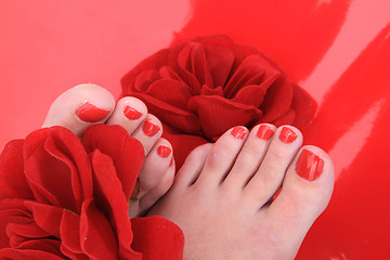 Image showing women feets and flowers (pedicure tbackground)