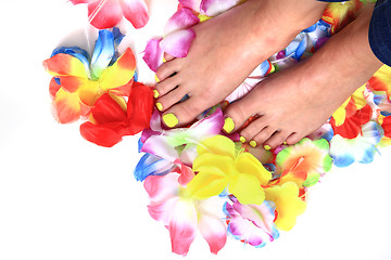 Image showing women feets and flowers (pedicure tbackground)