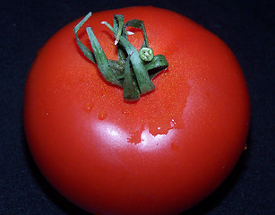 Image showing Tomato