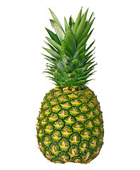 Image showing Fresh ripe pineapple