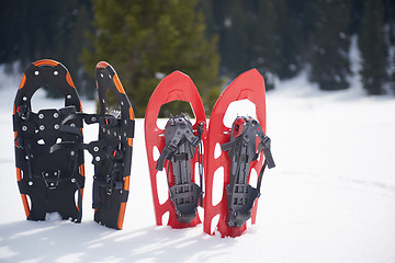 Image showing winter snowshoes