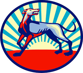 Image showing Greyhound Dog Angry Looking Up Circle Retro