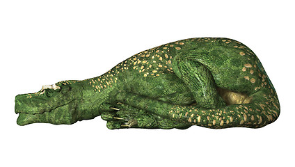 Image showing Dinosaur Tyrannosaurus