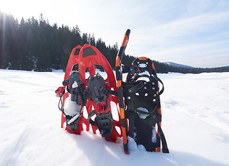 Image showing winter snowshoes