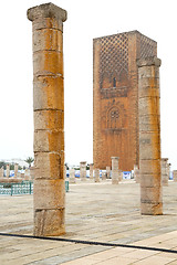 Image showing the   chellah  in morocco africa  old roman deteriorated  