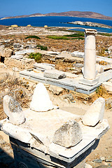 Image showing bush   in delos greece the historycal acropolis and old ruin sit