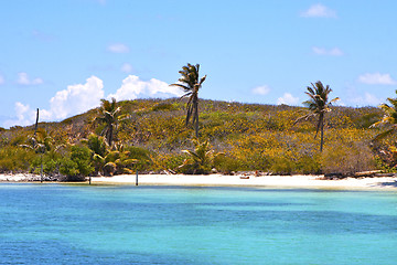 Image showing isla contoy   in mexico froath and blue 