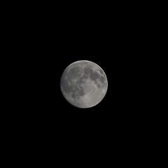 Image showing Full moon