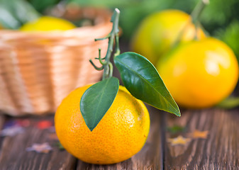 Image showing fresh tangerines