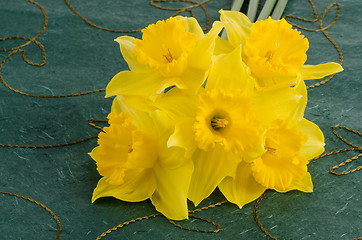 Image showing Jonquil flowers