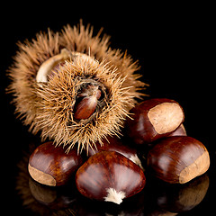 Image showing Chestnuts on a black reflective background