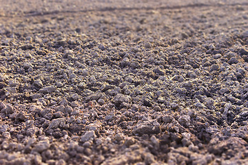 Image showing ingrown field in autumn