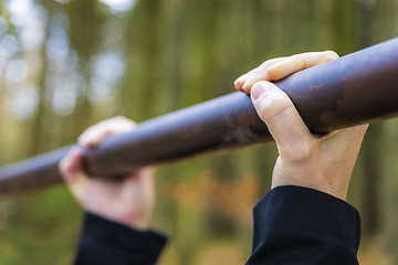 Image showing hands on fitness bar