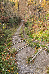Image showing Stairs fitness trail in forest