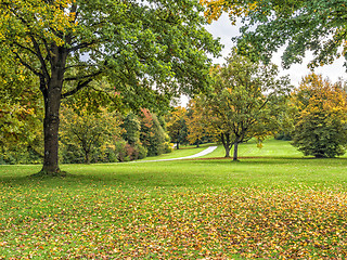 Image showing Trees and meadow in autumn