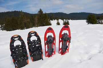 Image showing winter snowshoes