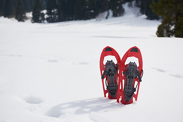 Image showing winter snowshoes