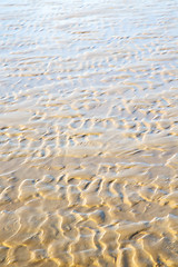 Image showing dune morocco in africa brown blue ocean