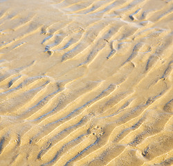 Image showing dune morocco in africa brown coastline wet sand beach near atlan