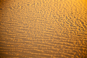 Image showing africa the brown sand   in   sahara morocco desert line