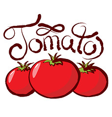 Image showing Vector Tomato