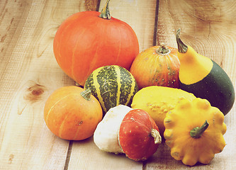 Image showing Squash and Pumpkins