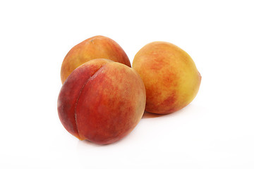 Image showing Tree Ripe Peaches