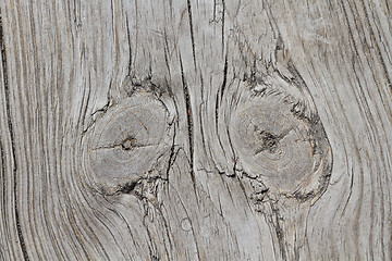 Image showing Wood