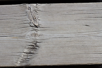 Image showing Wood