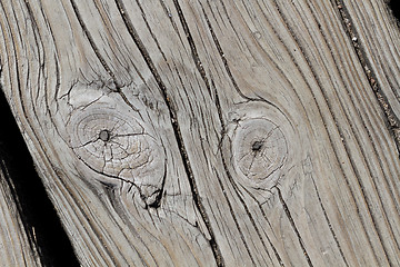 Image showing Wood