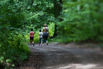 Image showing Family in a forest in Denmark (geels skov)