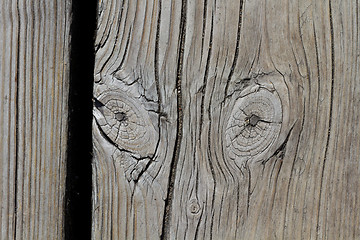 Image showing Wood