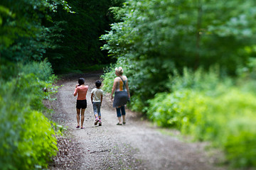 Image showing Family in a forest in Denmark