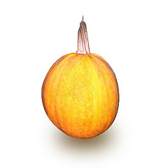 Image showing Round yellow pumpkin