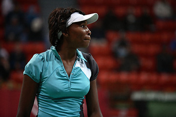 Image showing Venus Williams at Qatar Open, Doha