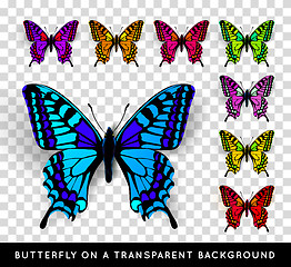 Image showing Realistic butterfly on transparent background