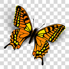 Image showing Realistic butterfly on transparent background