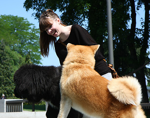 Image showing Girl with dogs