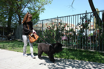 Image showing Walking with puppy