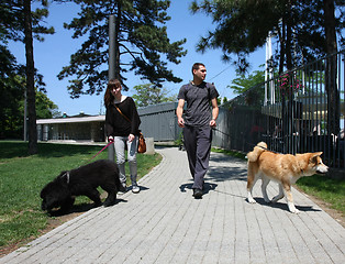 Image showing Walking with puppies