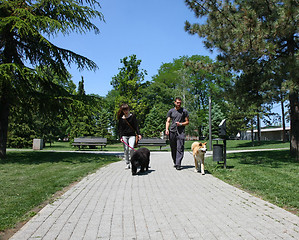 Image showing Walking with puppies