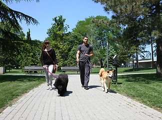 Image showing Walking with puppies