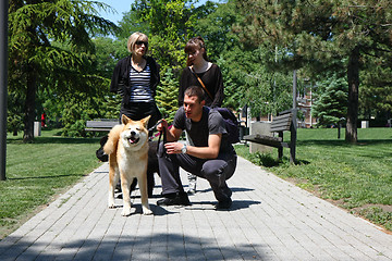 Image showing Posing dogs