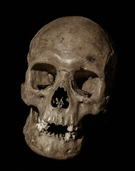 Image showing old rundown skull